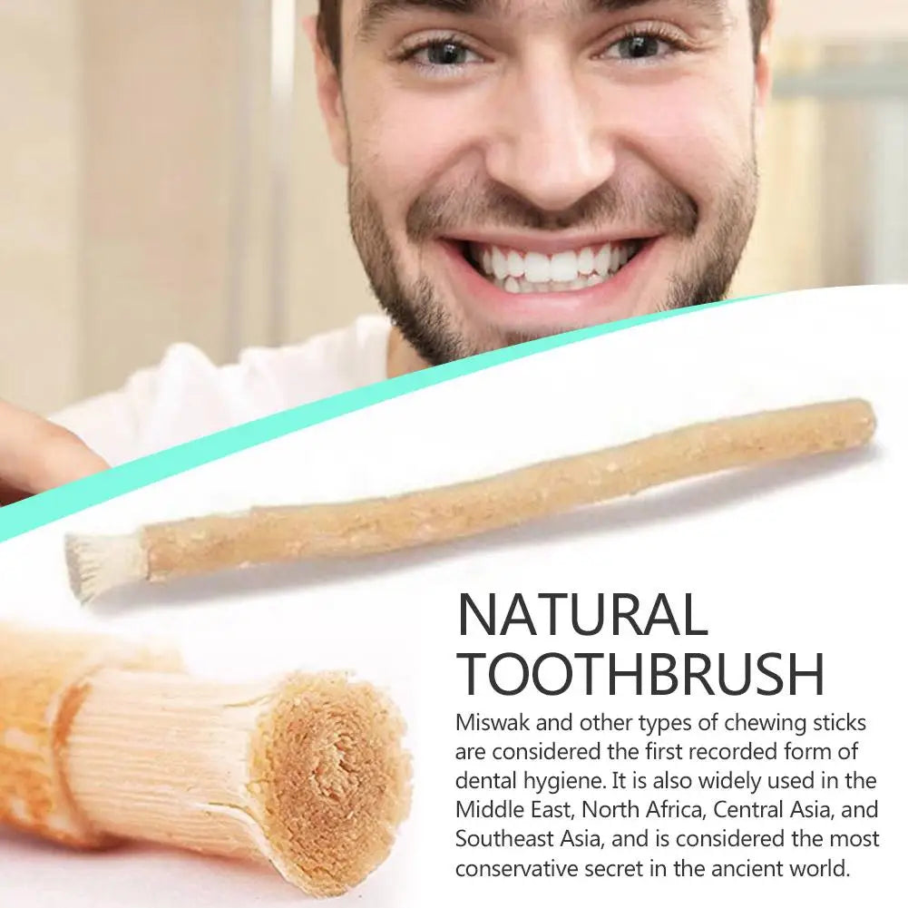 Miswak Siwak Natur Zahnburste Traditional Zähne Whitener Soft