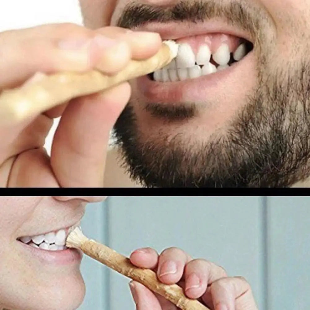 Miswak Siwak Natur Zahnburste Traditional Zähne Whitener Soft
