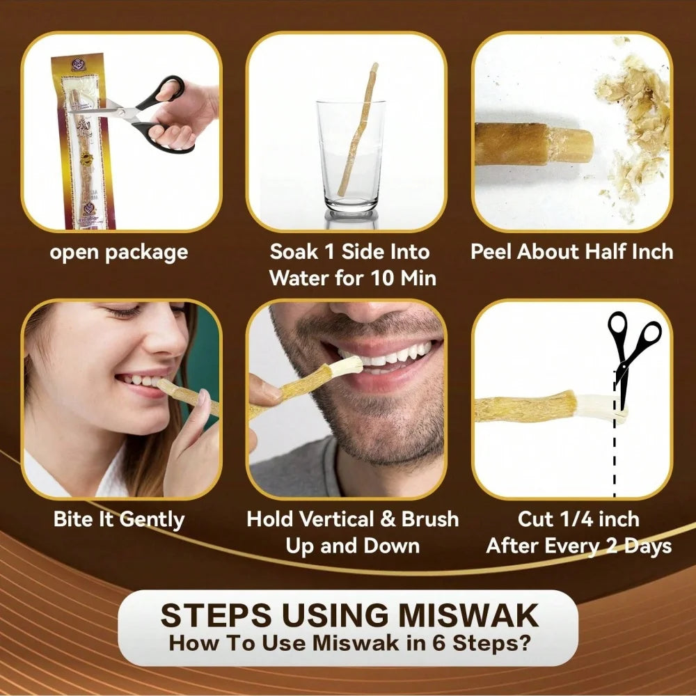 Premium-Zahnbürstenstab aus natürlichem Ast-Miswak, für unterwegs und den täglichen Gebrauch, aus Holz + Bambus-Griff aus Ast-Bambus, als Geschenk