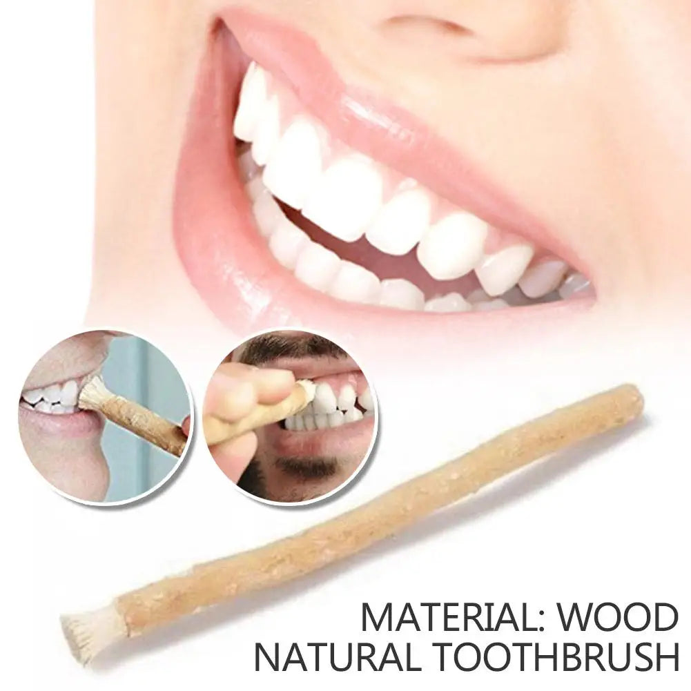 Miswak Siwak Natur Zahnburste Traditional Zähne Whitener Soft